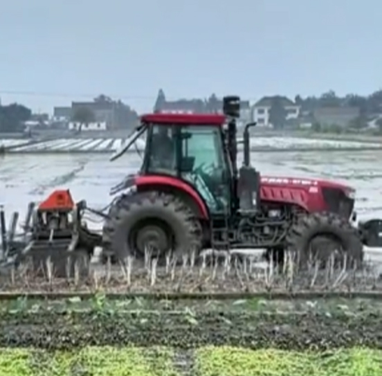 您負(fù)責(zé)統(tǒng)籌全局，它負(fù)責(zé)腳踏實地